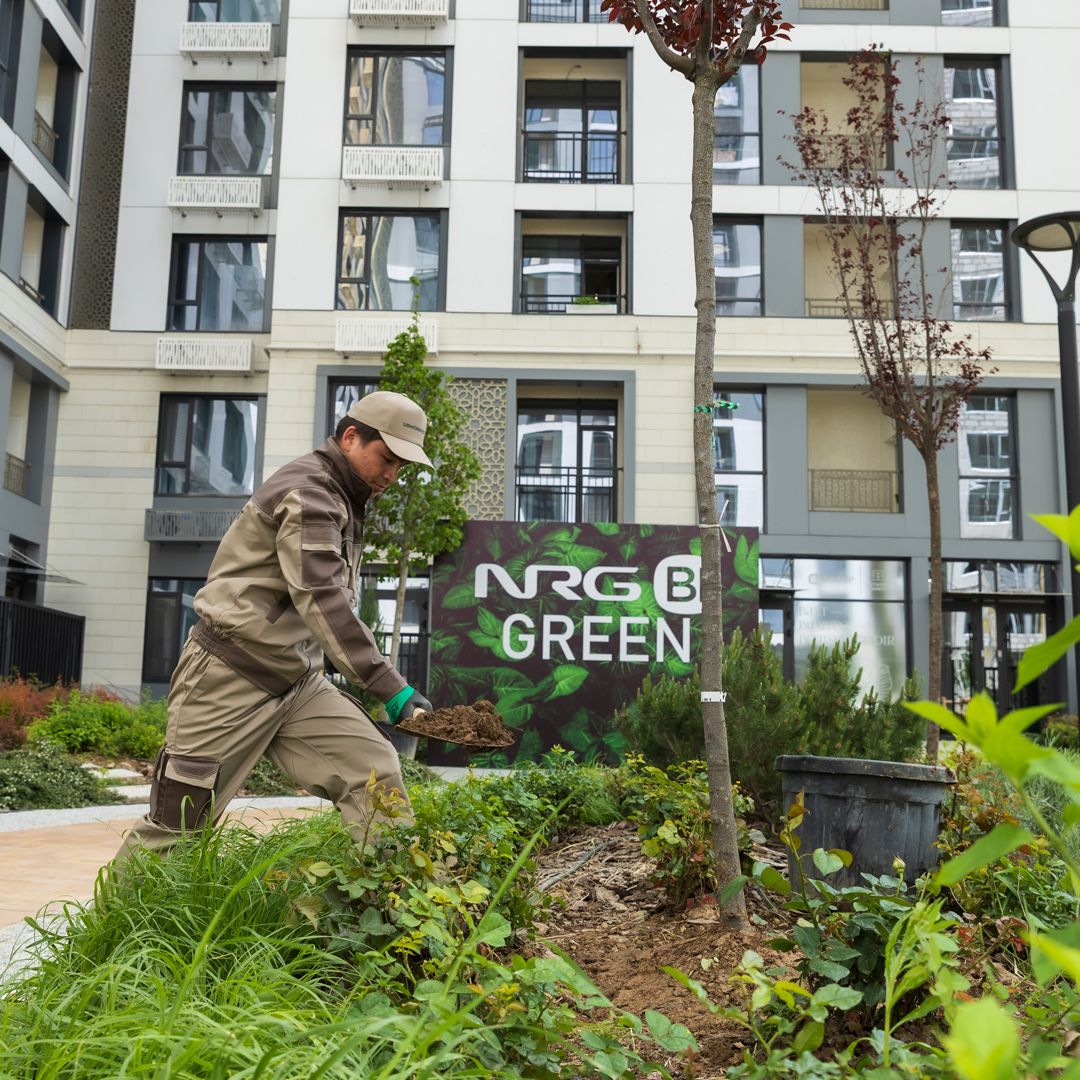 Без имени-1 копия (4).jpg