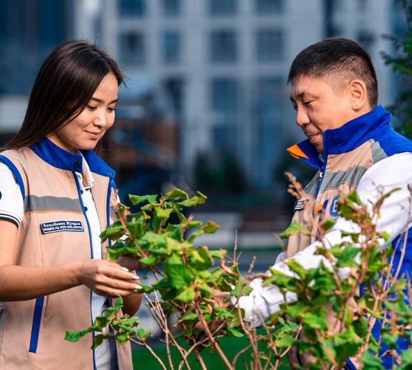 Управляющая компания BI Service