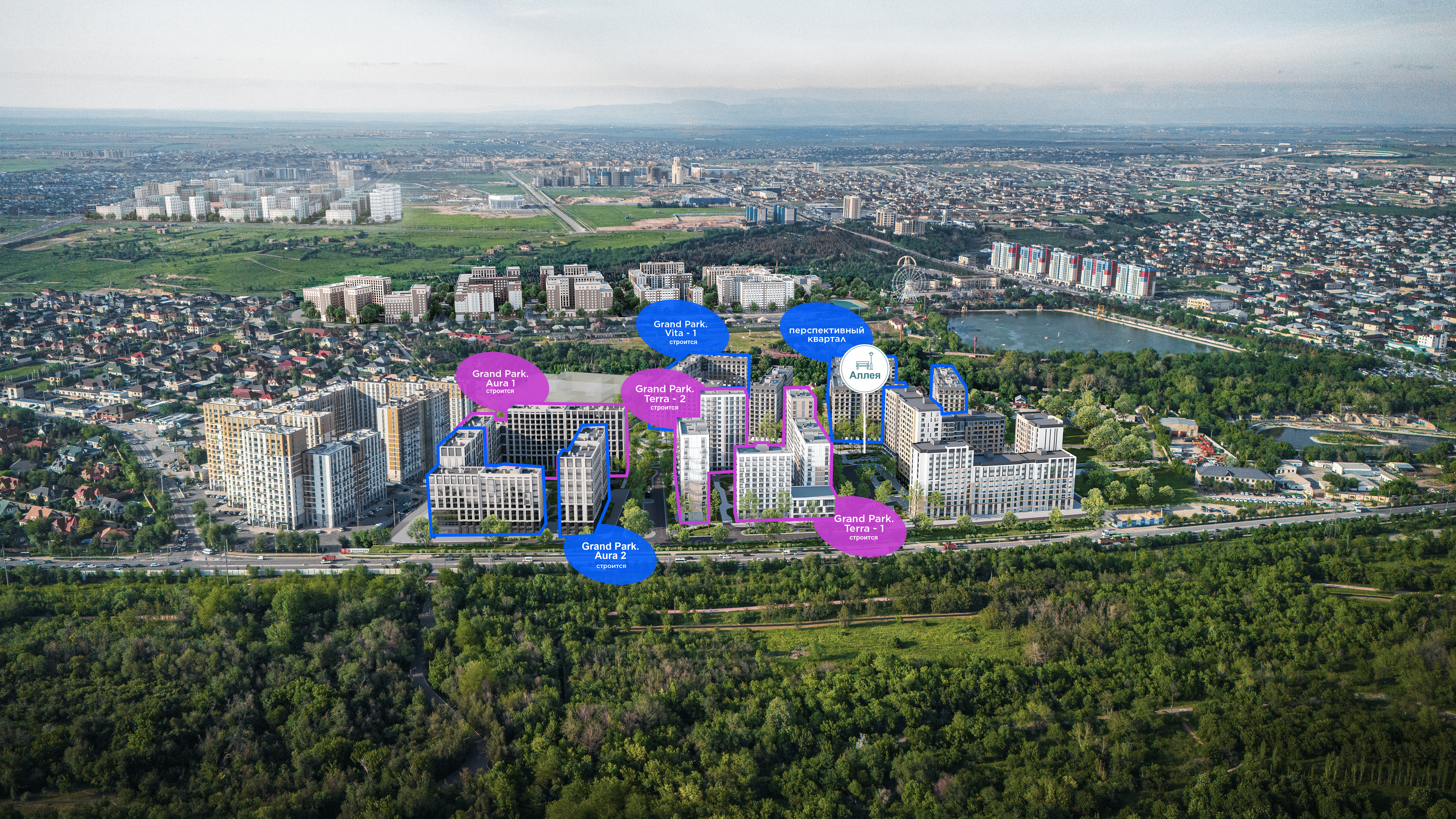 птичка аура русссс (1).png